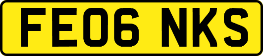 FE06NKS