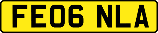 FE06NLA