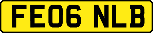 FE06NLB