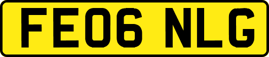 FE06NLG