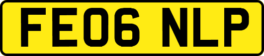 FE06NLP