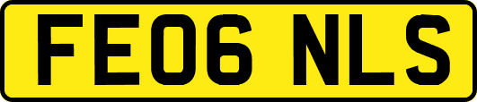 FE06NLS