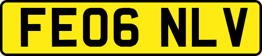 FE06NLV