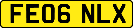 FE06NLX