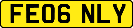 FE06NLY