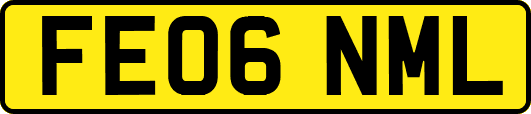 FE06NML
