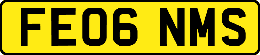 FE06NMS