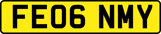FE06NMY