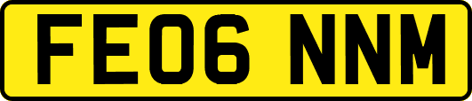 FE06NNM