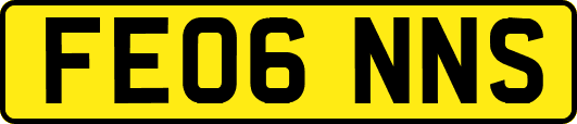 FE06NNS