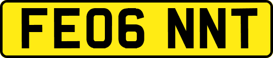 FE06NNT