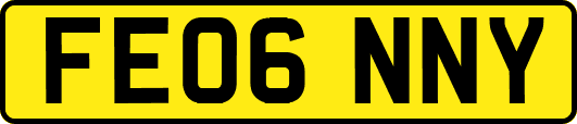 FE06NNY
