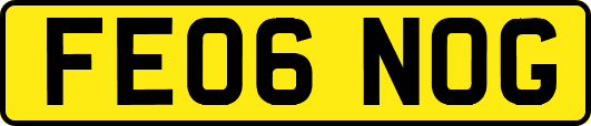 FE06NOG