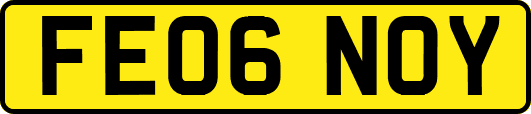 FE06NOY