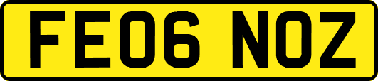 FE06NOZ