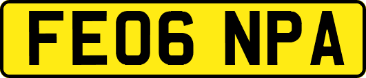 FE06NPA