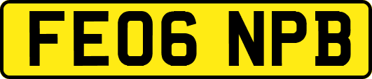 FE06NPB