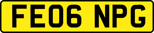 FE06NPG