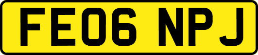 FE06NPJ