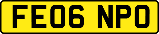 FE06NPO