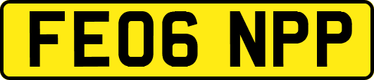 FE06NPP