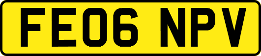 FE06NPV