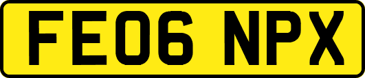 FE06NPX