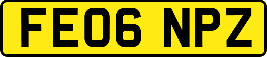 FE06NPZ