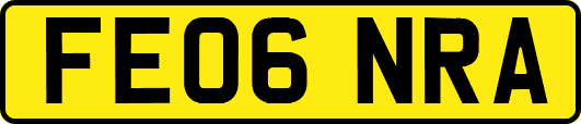 FE06NRA