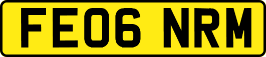 FE06NRM