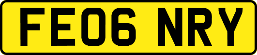 FE06NRY