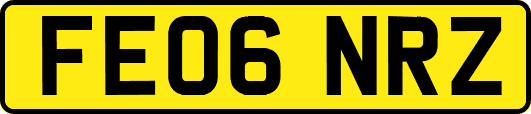 FE06NRZ
