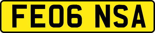 FE06NSA