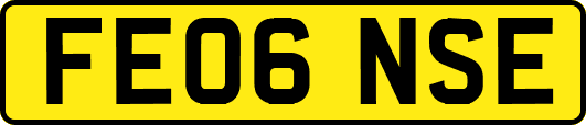 FE06NSE