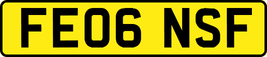 FE06NSF