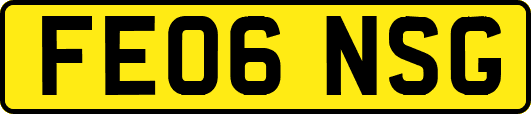 FE06NSG