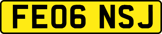 FE06NSJ