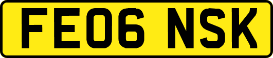 FE06NSK
