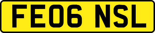 FE06NSL