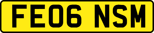 FE06NSM