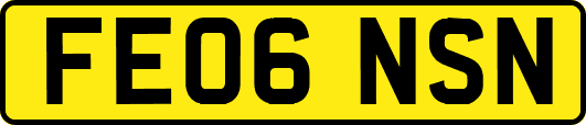FE06NSN