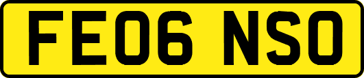 FE06NSO