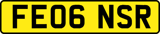 FE06NSR