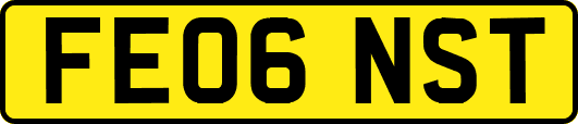 FE06NST