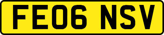 FE06NSV
