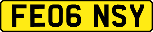 FE06NSY