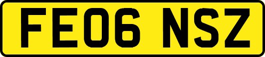 FE06NSZ