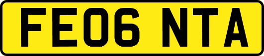 FE06NTA