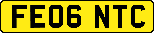 FE06NTC