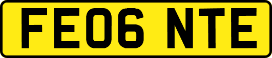 FE06NTE
